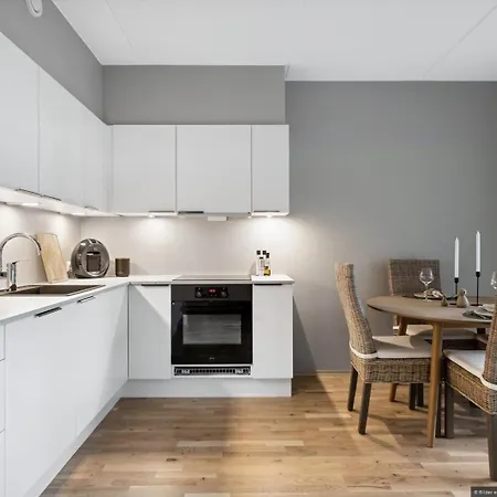 Modern 1 Bedroom In Apartment *